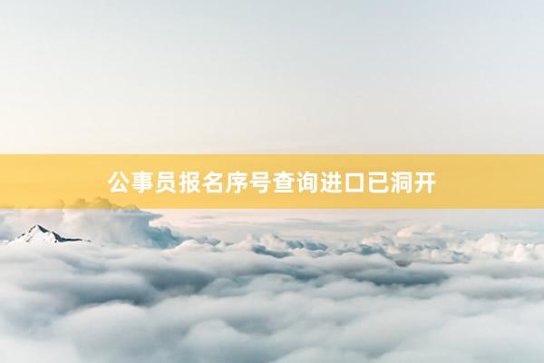 公事员报名序号查询进口已洞开